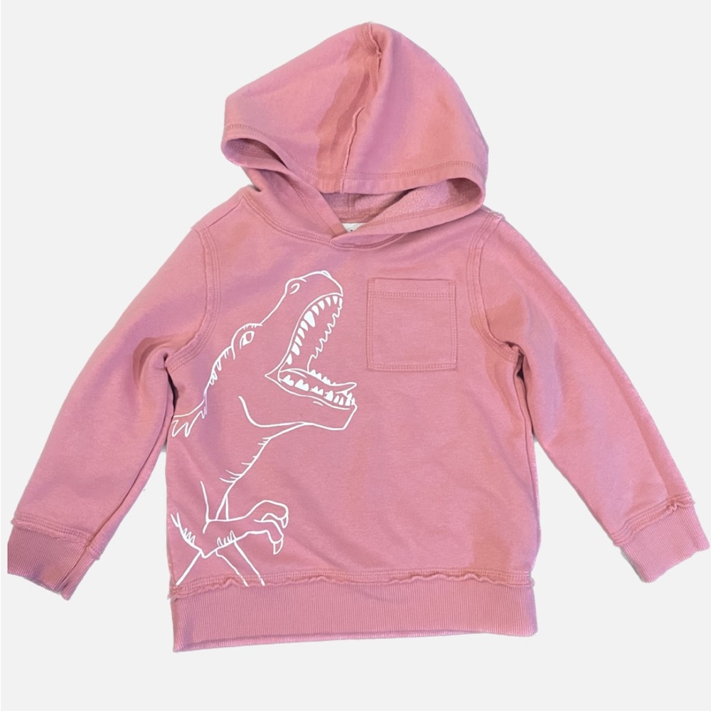 Old Navy Toddler Dino Hoodie